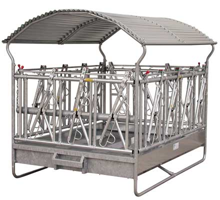 Gro&szlig;ballenraufe CORNADIS 0945