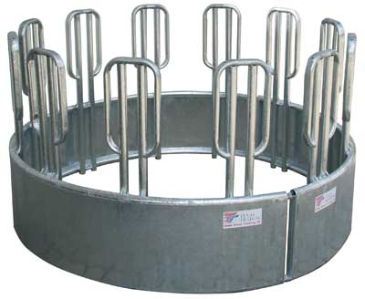 Die Sicherheitsraufe mit der neuen Palisadenform, kleineres Modell